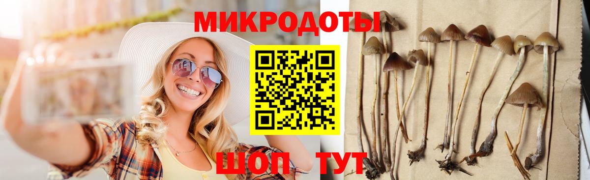 Сарапул  Галлюциногенные грибы Magic Shrooms  Вход с VPN  Псилоцибиновые грибы мицелий 